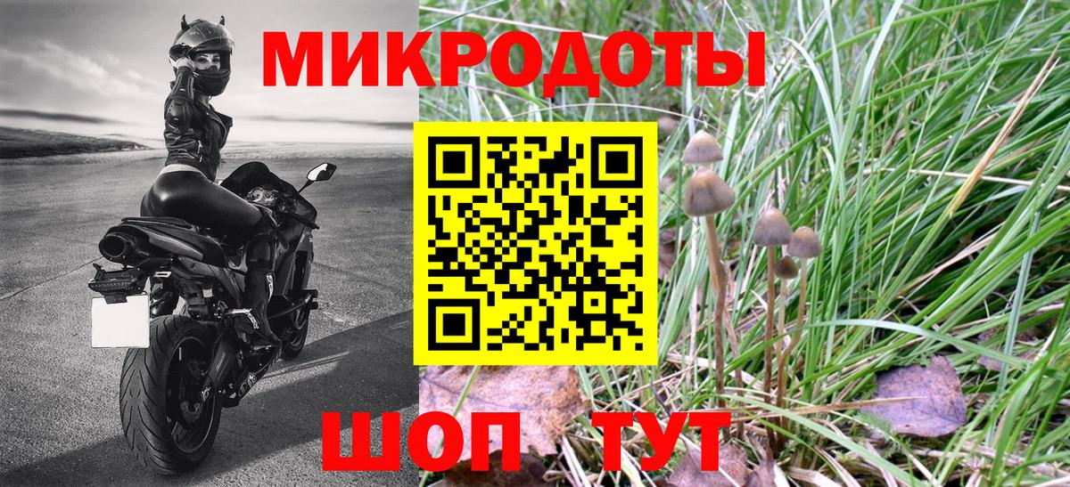 Псилоцибиновые грибы Psilocybe Домодедово