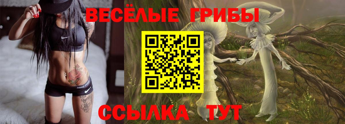Псилоцибиновые грибы Cubensis  Вход с VPN  Домодедово 