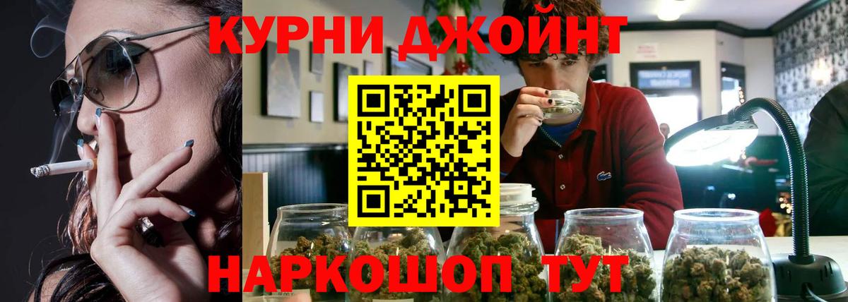 Конопля планчик Домодедово